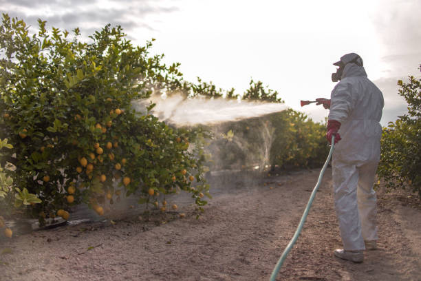 Best Local Pest Control Services  in Painesville, OH