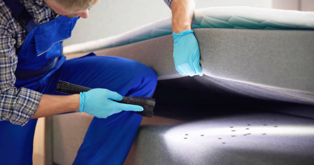 Best Rat Extermination Near Me  in Painesville, OH